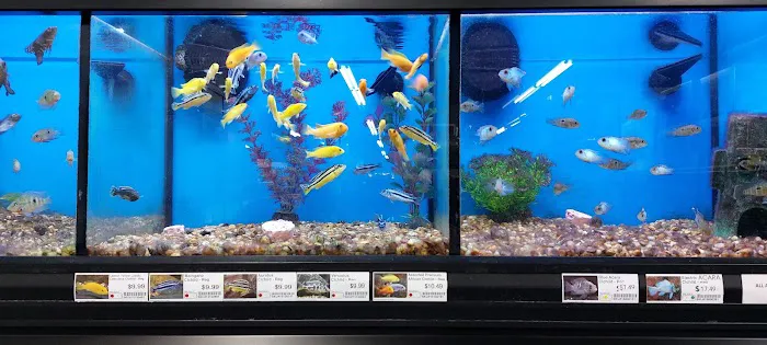 Pet Supermarket Picture 10
