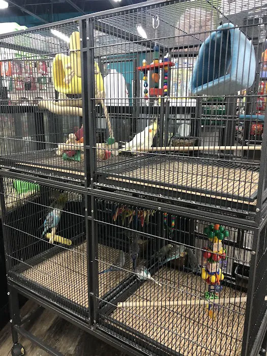 Pet Supermarket Picture 9