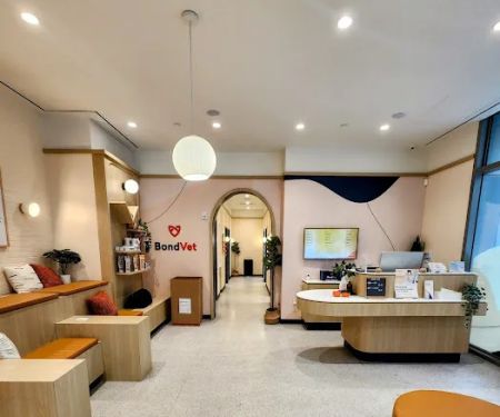 Bond Vet - Financial District