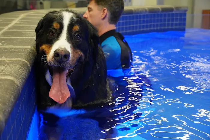 Water4Dogs Rehabilitation Center Picture 1