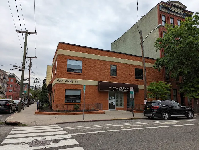 Animal Infirmary of Hoboken Picture 2