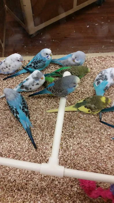 Pet Supermarket Picture 8