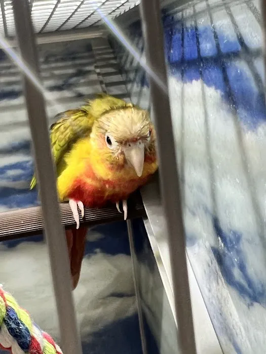 Pet Supermarket Picture 6