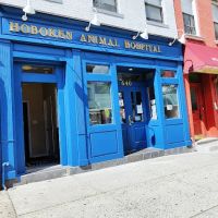 Hoboken Animal Hospital ico