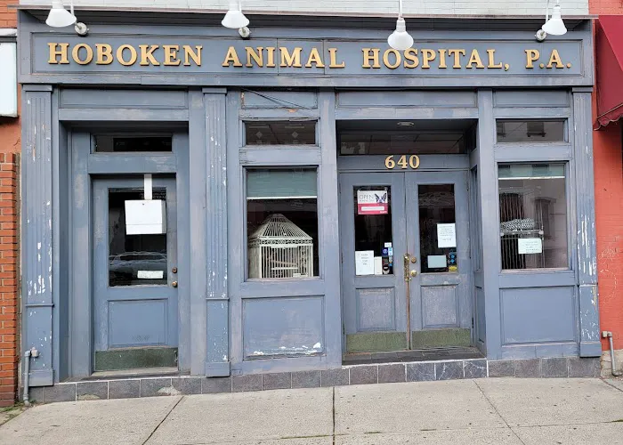 Hoboken Animal Hospital Picture 2