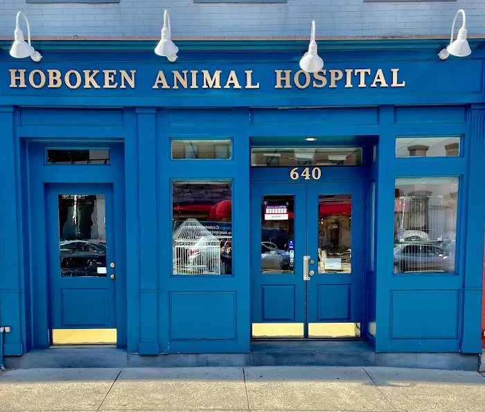 Hoboken Animal Hospital Picture 3