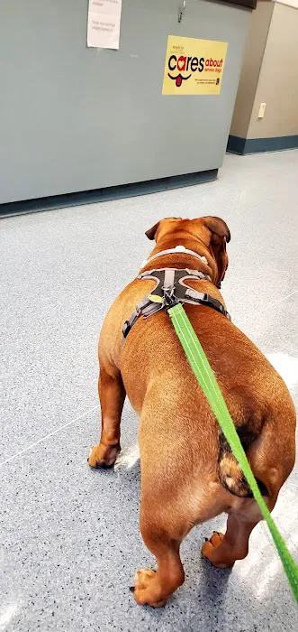 Hoboken Animal Hospital Picture 4