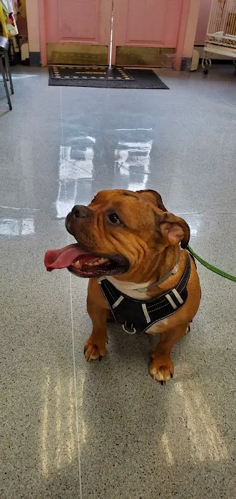 Hoboken Animal Hospital Picture 5