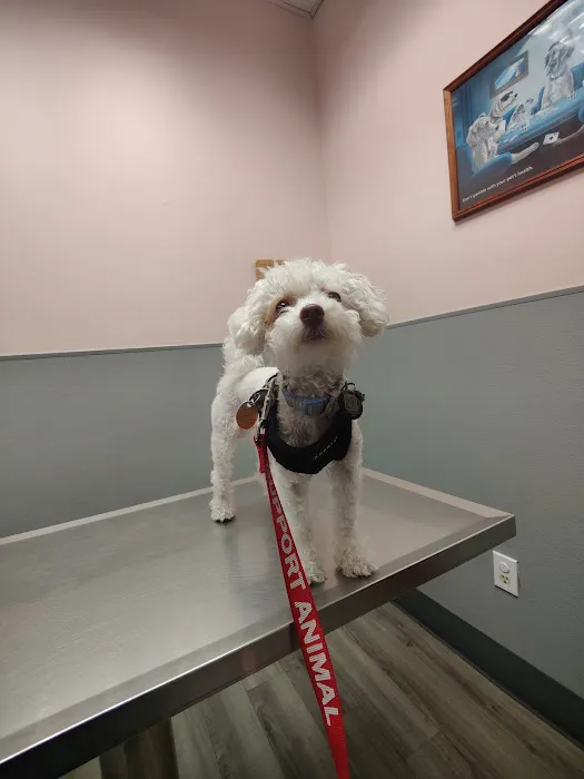 Hoboken Animal Hospital Picture 6