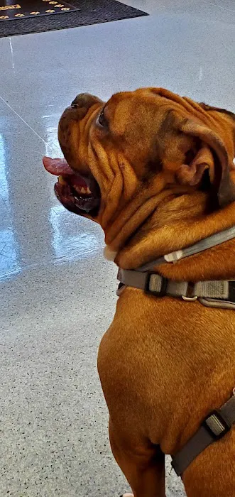 Hoboken Animal Hospital Picture 8