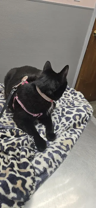 Hoboken Animal Hospital Picture 10
