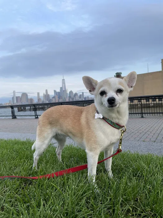 Hoboken Animal Hospital Pa: Martin Emmanuelle DVM Picture 1