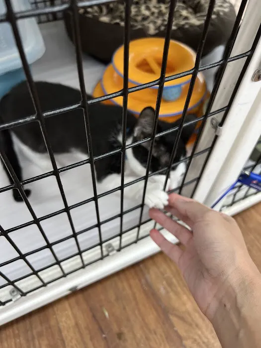 Pet Supermarket Picture 3