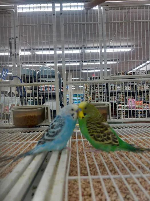 Pet Supermarket Picture 4
