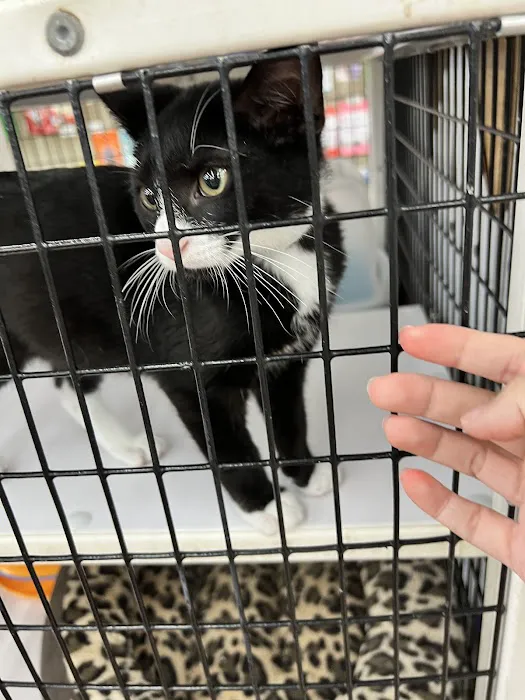 Pet Supermarket Picture 6