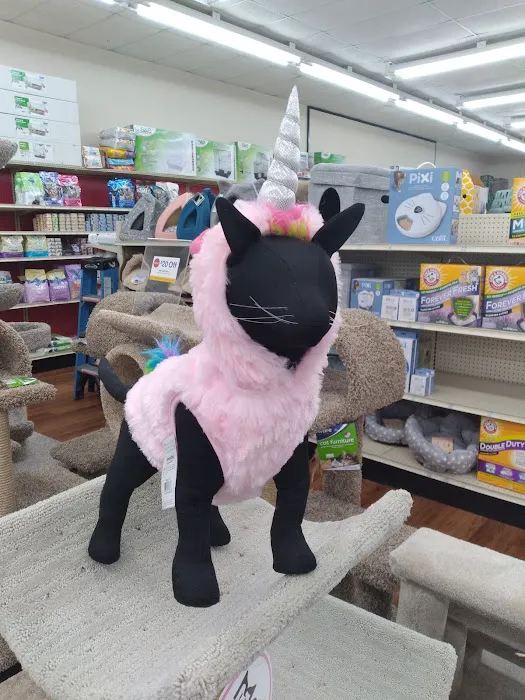 Pet Supermarket Picture 7