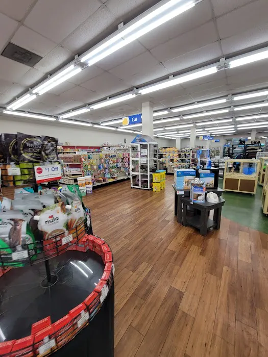 Pet Supermarket Picture 5