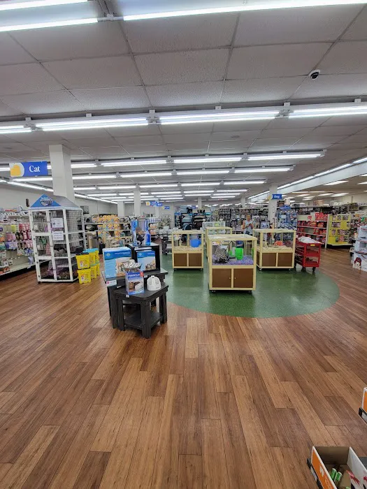 Pet Supermarket Picture 8