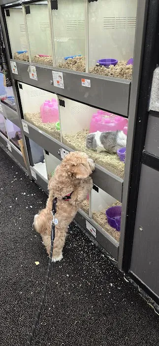 Pet Supplies Plus Coconut Creek Picture 5