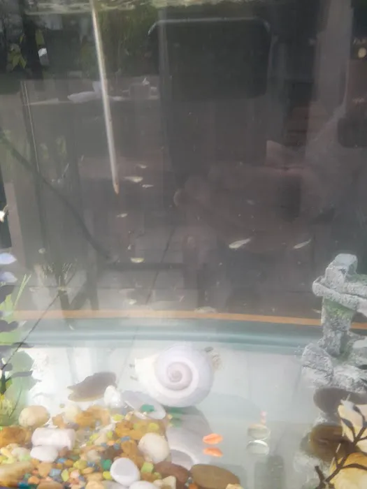 Pet Supplies Plus Coconut Creek Picture 10
