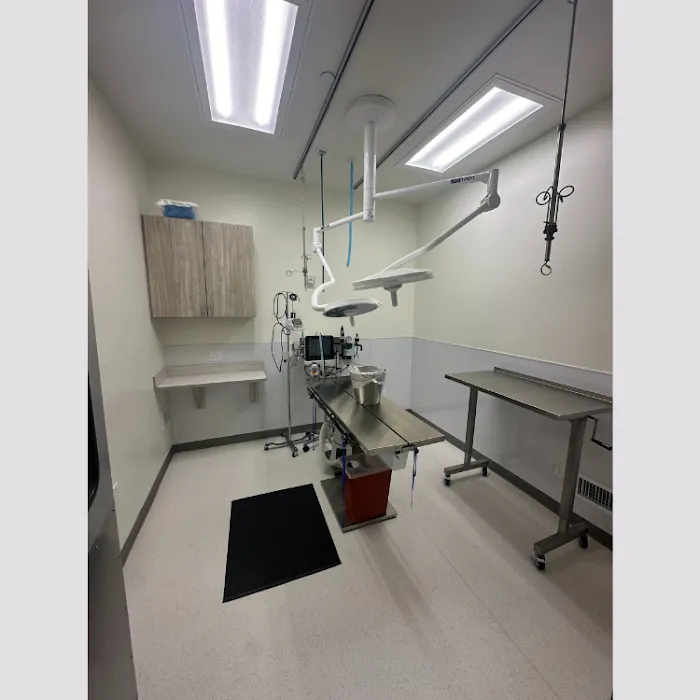 KLC Veterinary Surgical Services Picture 1