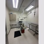 KLC Veterinary Surgical Services