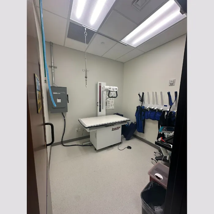 KLC Veterinary Surgical Services Picture 2
