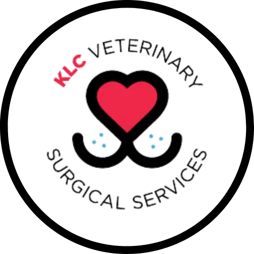 KLC Veterinary Surgical Services Picture 3