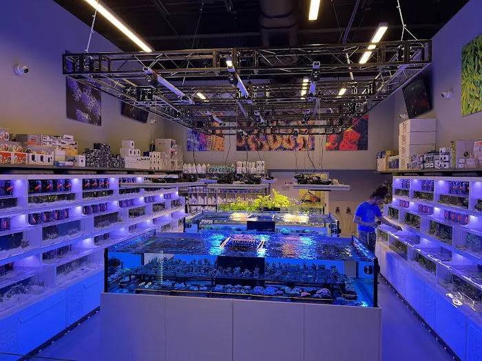 Reefs Edge Aquatics Picture 6