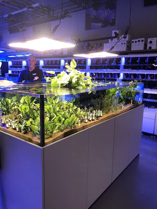 Reefs Edge Aquatics Picture 9