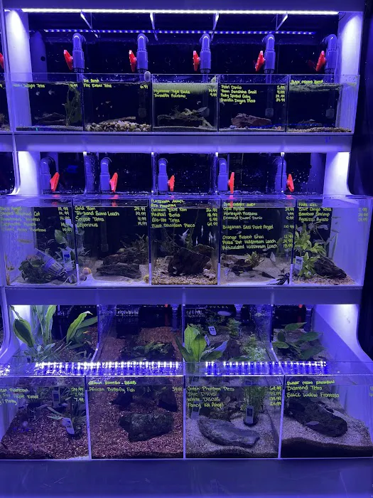 Reefs Edge Aquatics Picture 8