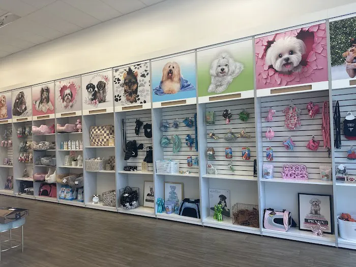 Paradise Puppies Picture 2