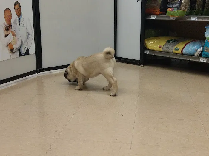 Petco Vaccination Clinic Picture 1