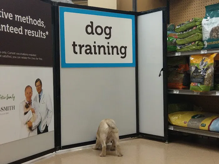Petco Vaccination Clinic Picture 5
