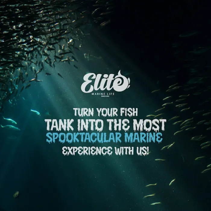 MarineLife by Captive Seas, formerly Elite MarineLife Picture 1