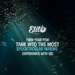 MarineLife by Captive Seas, formerly Elite MarineLife