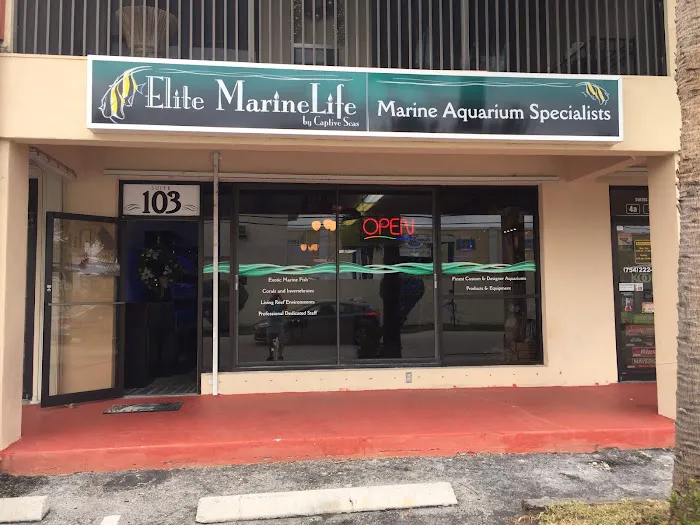 MarineLife by Captive Seas, formerly Elite MarineLife Picture 3