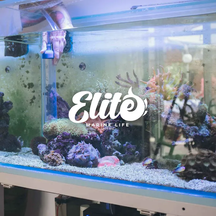 MarineLife by Captive Seas, formerly Elite MarineLife Picture 5