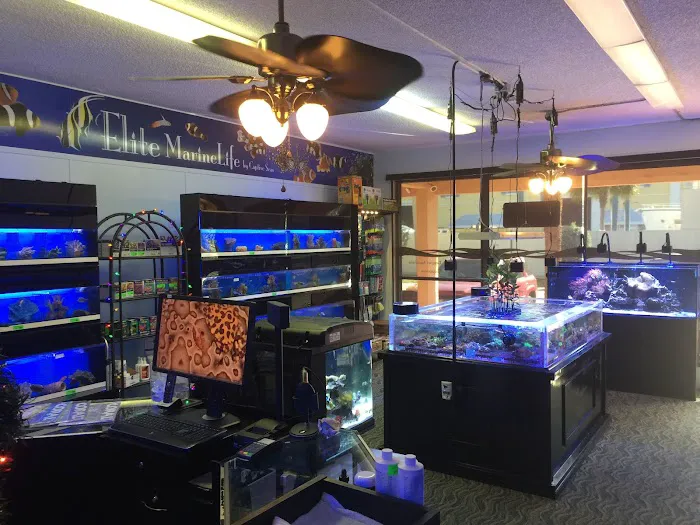 MarineLife by Captive Seas, formerly Elite MarineLife Picture 6