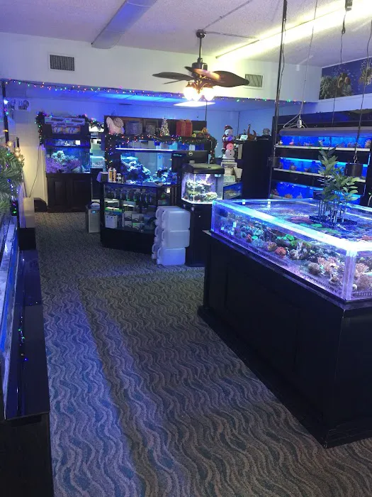 MarineLife by Captive Seas, formerly Elite MarineLife Picture 8