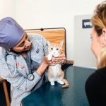 Bond Vet - Ditmas Park