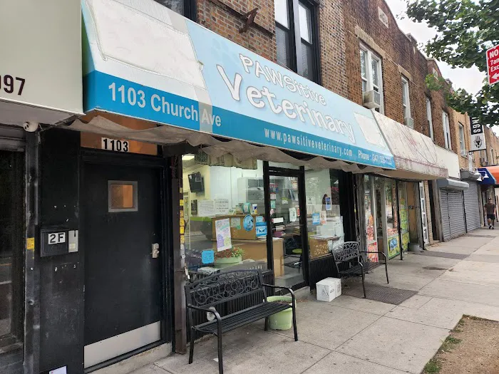 PAWSitive Veterinary of New York Picture 4
