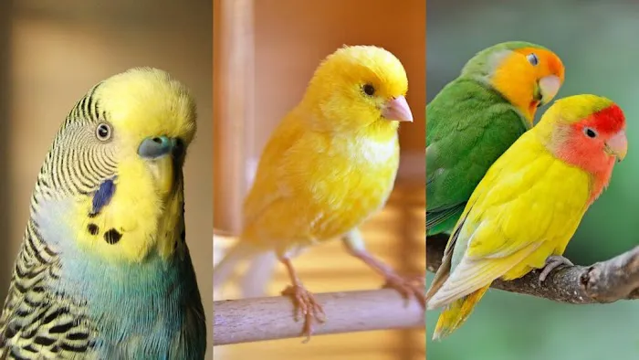 Kelly's Birds Florida Picture 1