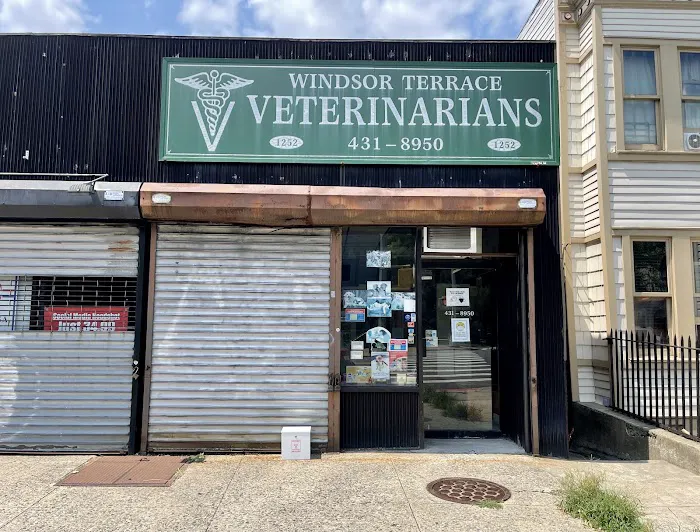 Windsor Terrace Veterinarians Picture 4