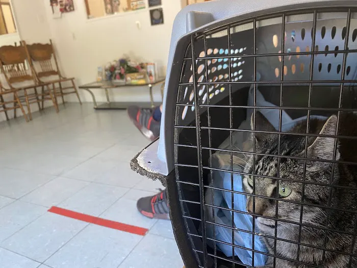 Windsor Terrace Veterinarians Picture 6