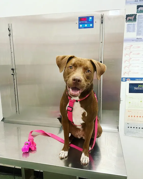 Windsor Terrace Veterinarians Picture 5