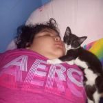 Venta de animales