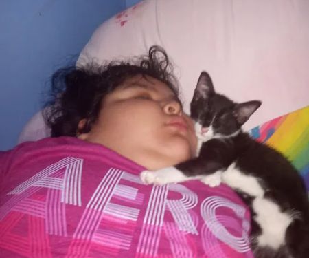 Venta de animales