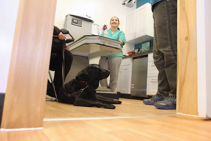 Alison Animal Hospital Picture 9