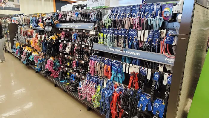 Petco Picture 2